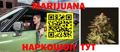 крисы Донской