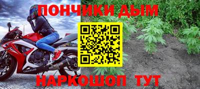 крисы Донской
