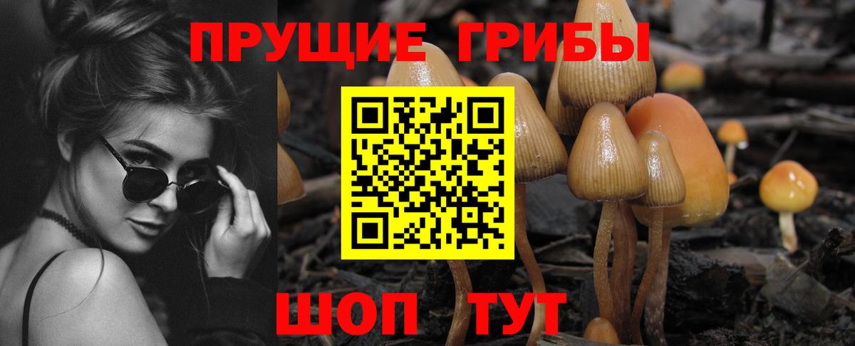 Нарткала  купить наркотик  Вход с VPN  Псилоцибиновые грибы GOLDEN TEACHER 