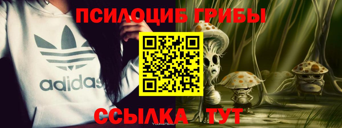 Псилоцибиновые грибы MAGIC MUSHROOMS Нарткала